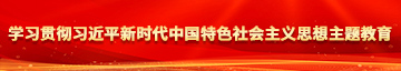 操黑丝骚货啊啊学习贯彻习近平新时代中国特色社会主义思想主题教育